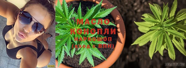 гашик Лабытнанги