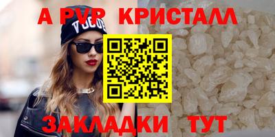 ECSTASY Гусев