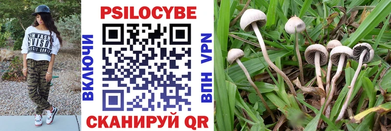 Галлюциногенные грибы MAGIC MUSHROOMS  сколько стоит  Кохма 