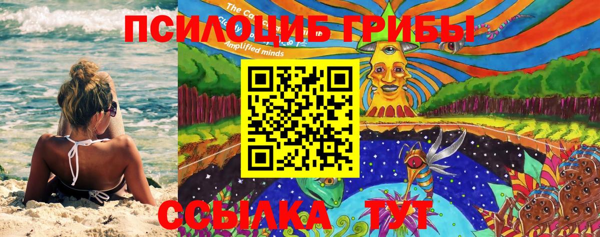 Псилоцибиновые грибы мицелий Кохма