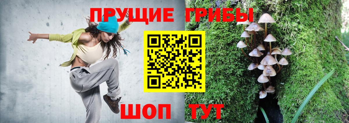 Галлюциногенные грибы MAGIC MUSHROOMS Кохма