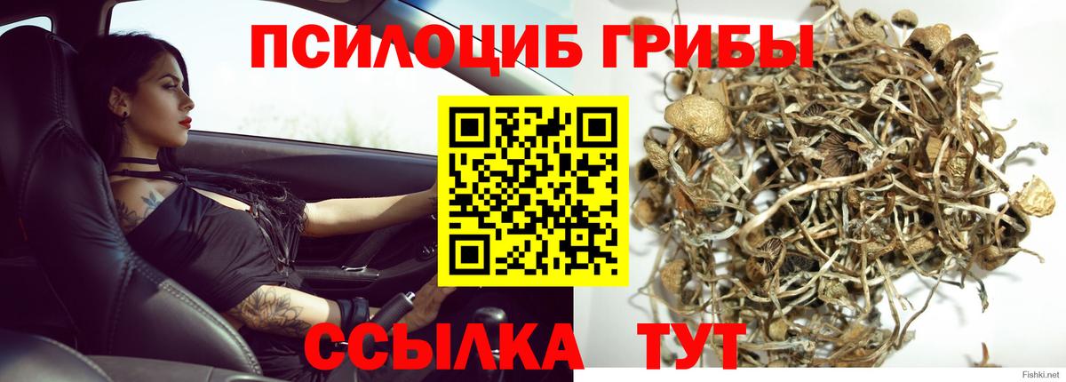 Галлюциногенные грибы прущие грибы  Вход с VPN  Кохма 