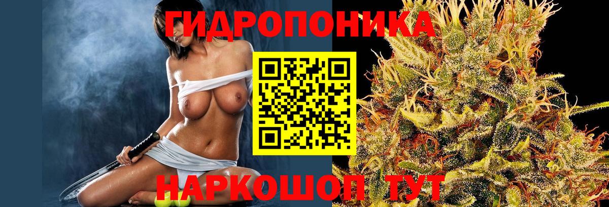 Бошки марихуана THC 21% Кохма